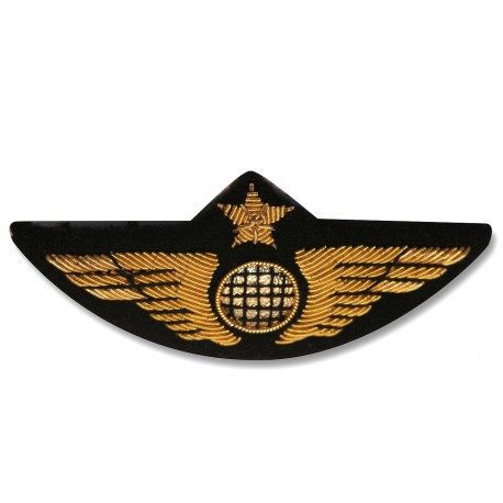 Insigne de poitrine aile avion Or - Pour pilotes et copilotes, personnels navigants