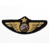 Insigne de poitrine aile avion Or - bande "bleu blanc rouge" Air France