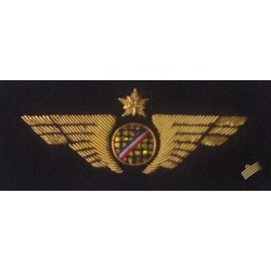 Insigne de poitrine aile avion Or Bande Bleu Blanc Rouge à coudre sur les vêtements d'uniforme